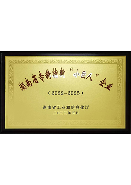 湖南省专精特新”人巨人“企业